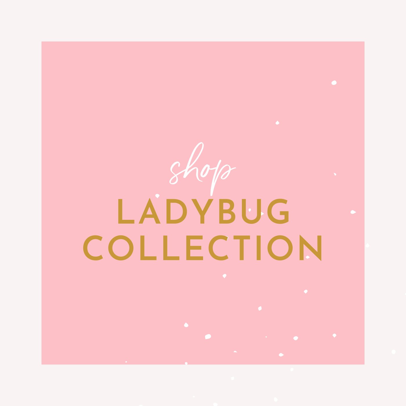 Ladybug Collecion