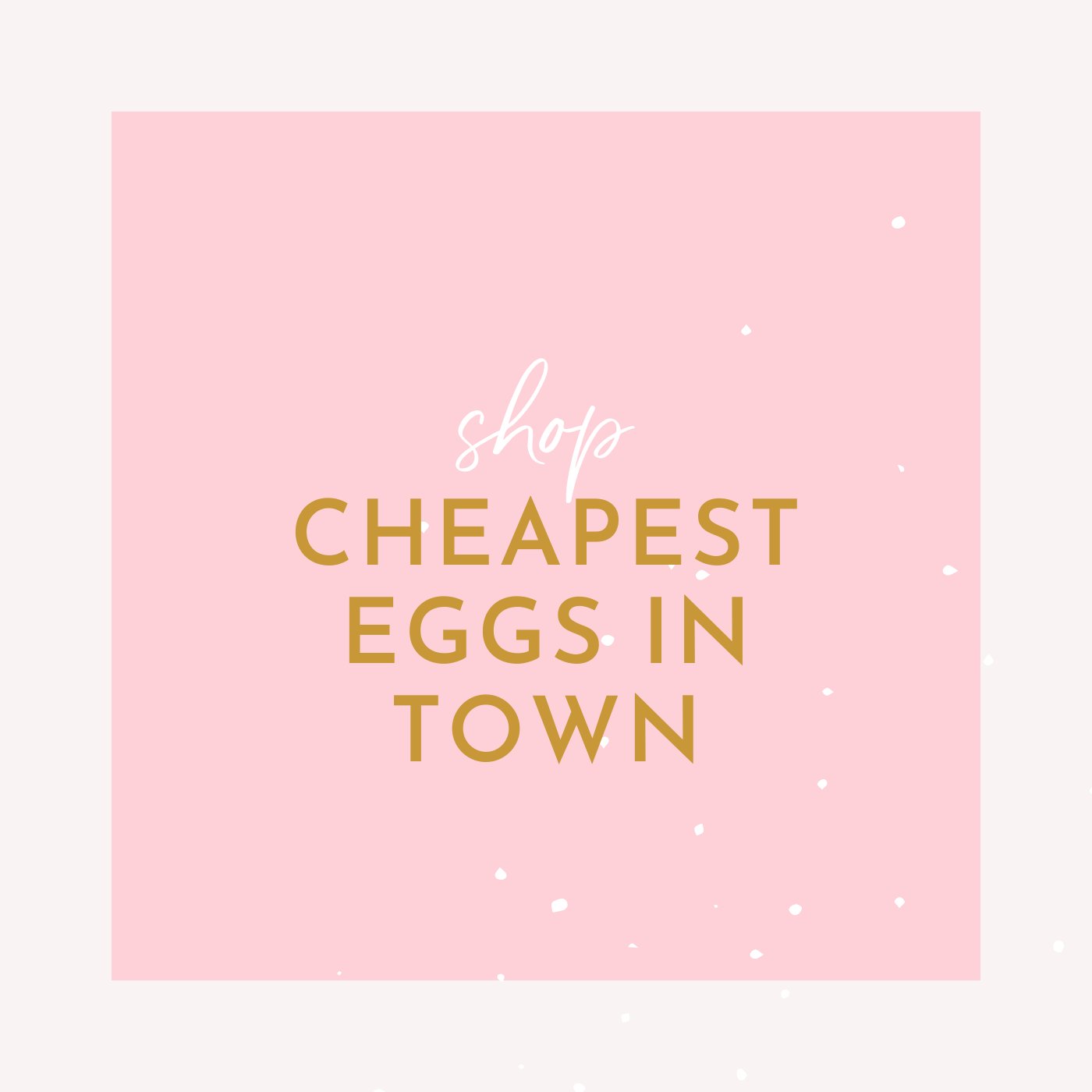 Cheapest Eggs in Town