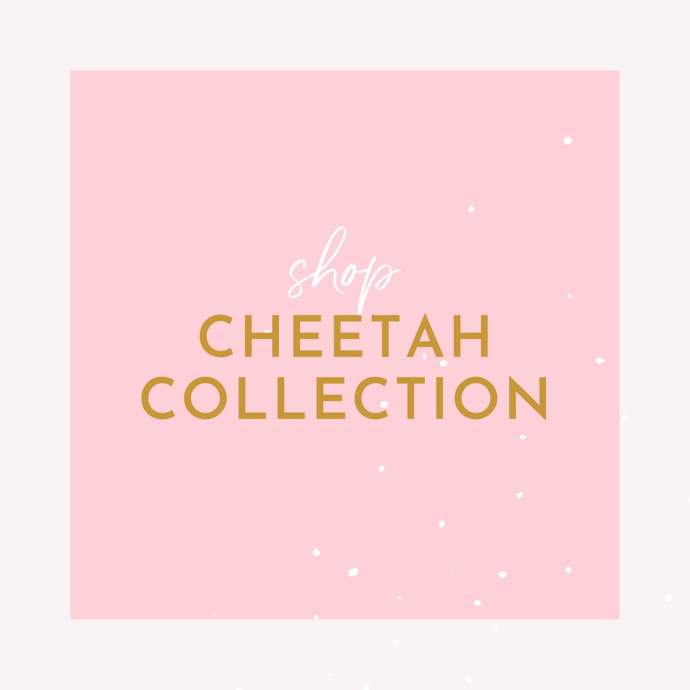 Cheetah Collection