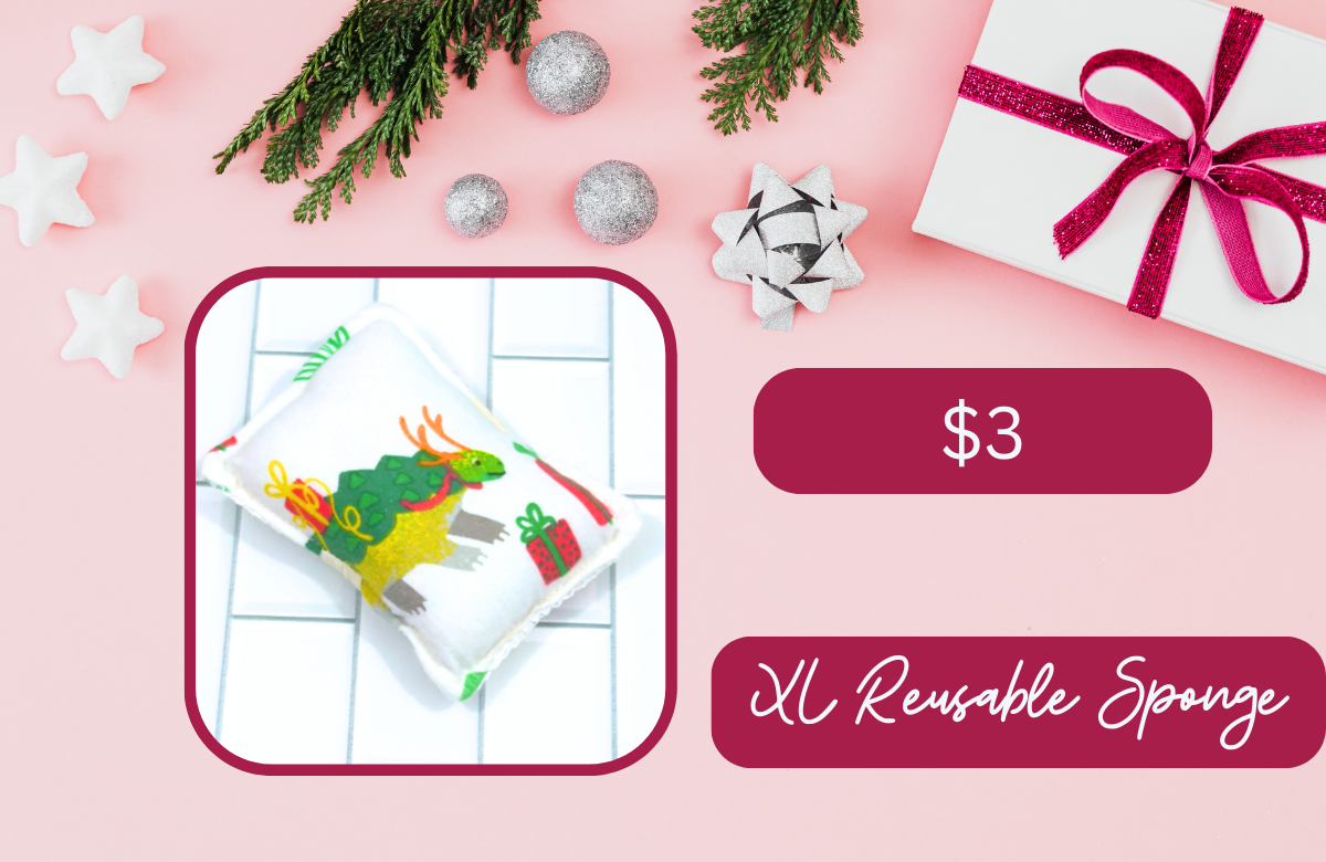 BFCM XL Sponges